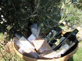 The olive harvest